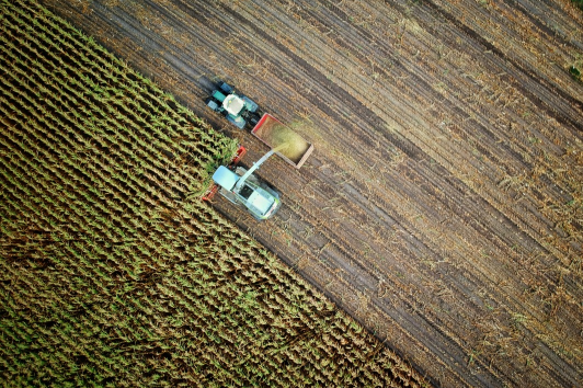 Agriculture